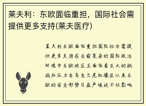 莱夫利：东欧面临重担，国际社会需提供更多支持(莱夫医疗)