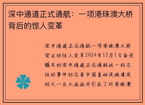 深中通道正式通航：一项港珠澳大桥背后的惊人变革