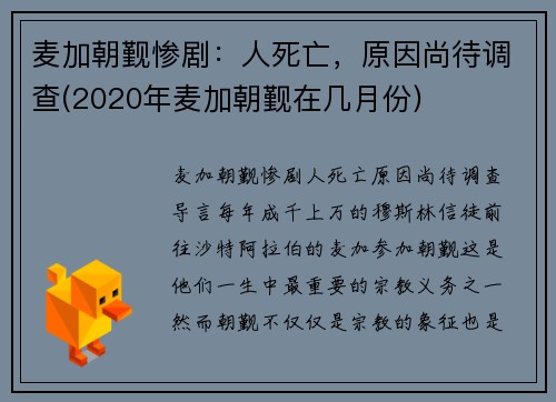 麦加朝觐惨剧：人死亡，原因尚待调查(2020年麦加朝觐在几月份)